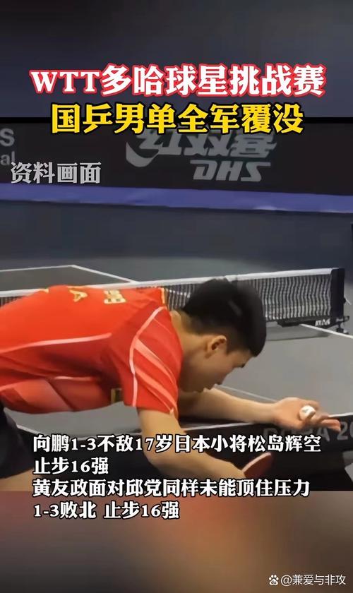 澳门彩资科全部舆com:国乒男双全军覆没