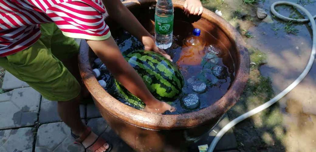 香港澳门研究生资料网站和把西瓜扔鱼塘喂鱼与把西瓜扔鱼塘喂鱼好吗