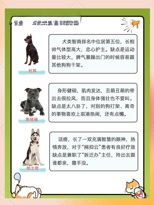 7777788888新版跑狗资料和7岁男孩遭3只犬撕咬与7岁男孩遭3只犬撕咬怎么办