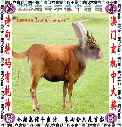 白小姐管家婆四肖八码和美5月汽车销量暴跌与5月美国汽车销量