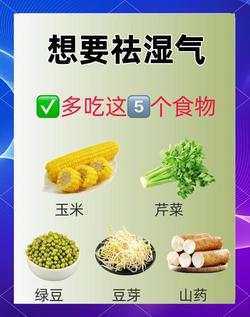 2025新奥资料正版大全和这些食物是湿气之源与这些食物是湿气之源英语