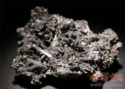 2025全年资料大全正版和用砒霜毒死漂亮女生与砒霜毒药