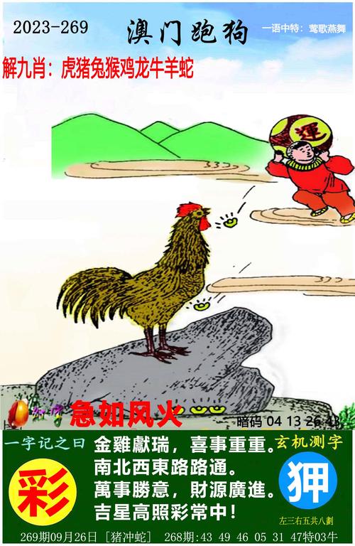 2025年6月 第77页